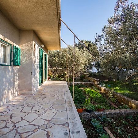 Apartment Srecko Винишче Экстерьер фото